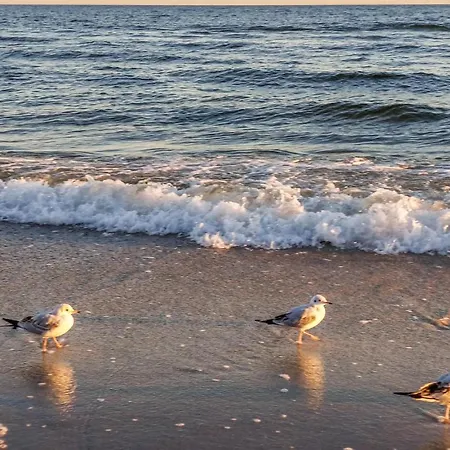 דירה Cozy In With Wifi